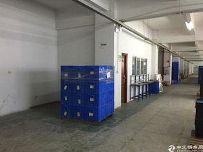 鳳崗鎮金鳳凰工業區 1500平精裝辦公室與金屬裝飾材料零售的完美結合